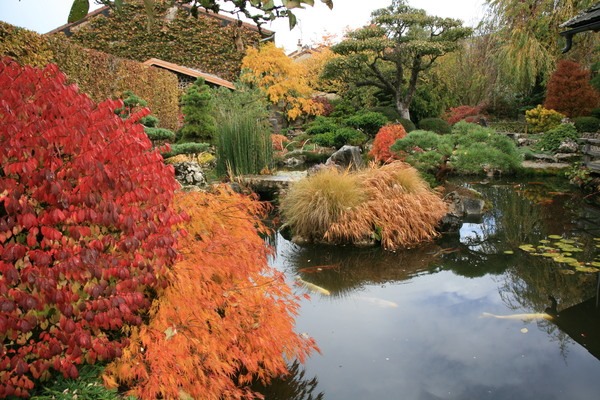 Le jardin de Cressia